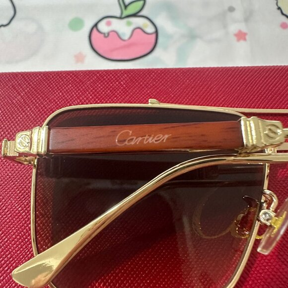Cartier Brown Unisex Sunglasses